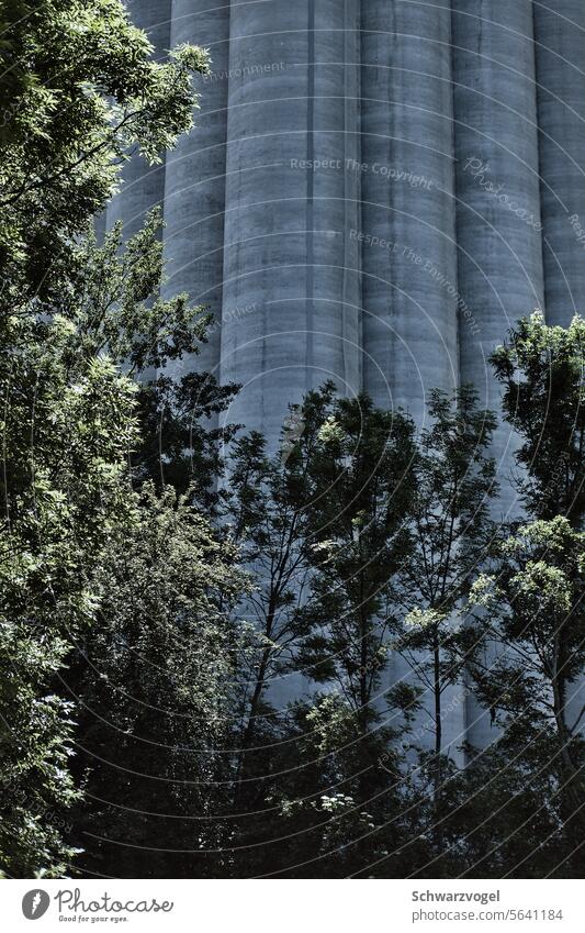 Concrete structure Concrete wall Industry Gray Wall (building) Facade trees Deserted Day Architecture Manmade structures Building