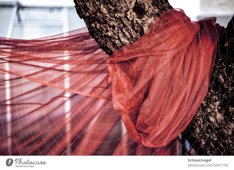 Tree with a scarf Rag Scarf Red Colour photo Cloth Exterior shot