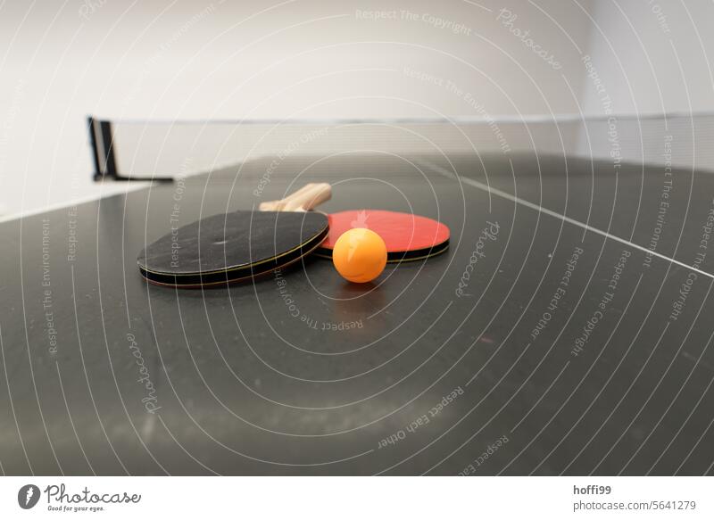 Two table tennis bats with ball on a table tennis table Table tennis Table tennis table Deserted Net Ball sports Leisure and hobbies Sports Playing