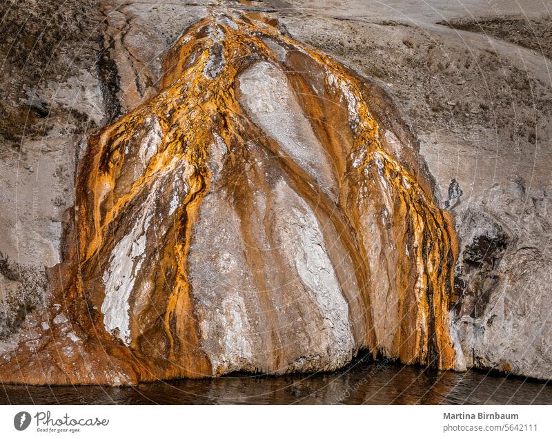Golden geothermal structures of the geyser sediments in the Yellowstone National Park gold golden background nature abstract national park landscape colorful