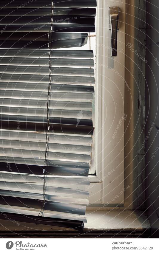 Window, blind,. Slats with dents in the backlight, window handle Venetian blinds slats Back-light Hiding place windowsill blackout Screening Closed Line Gray