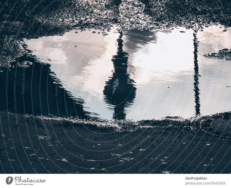 Berlin television tower in a puddle Roof Real estate Real estate market Deep depth of field Copy Space top Downtown Berlin Capital city High-rise Urbanization