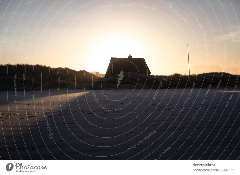 House in the dunes casts shadows in Denmark relaxation relax & recuperate" Recreation area bathe Freedom vacation Vacation mood Exterior shot Ocean Colour photo