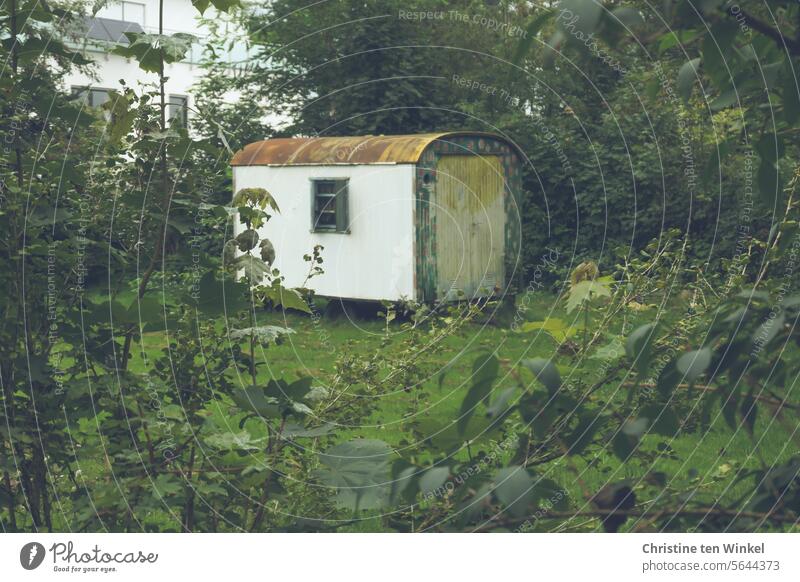 pretty freaky | an old shabby construction trailer stands on a meadow Site trailer Caravan tiny house Old barrel roof Bushes Meadow worn-out Painted Window