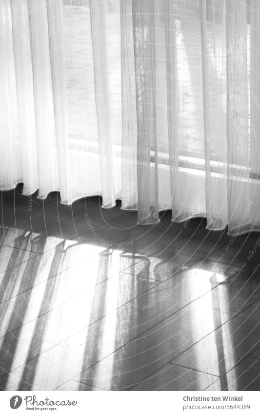 Delicate curtains in the light Curtain Window Drape Cloth Folds Living or residing Shadow Light Hang Room Structures and shapes Wrinkles Screening Interior shot