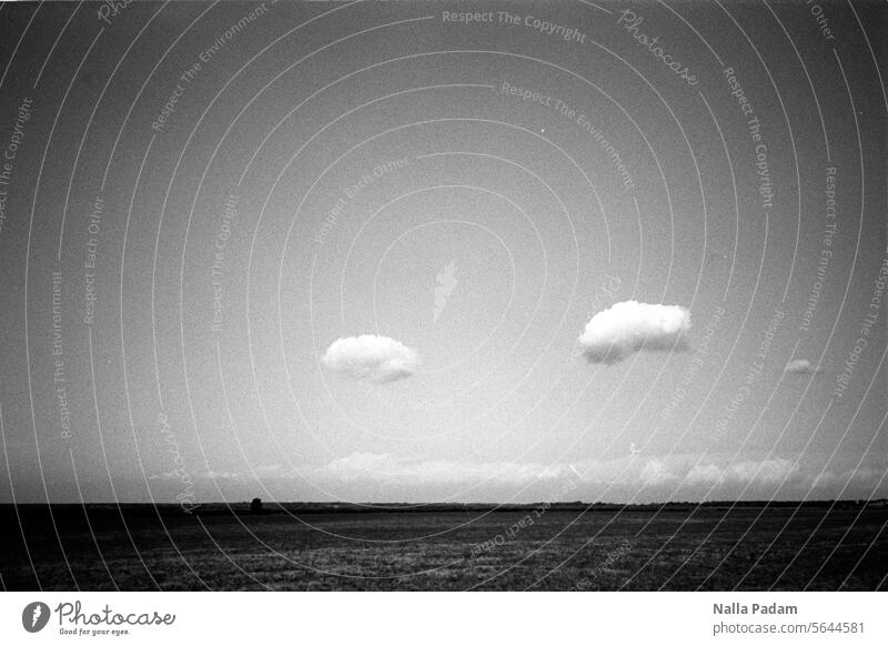 Horizon and two clouds Analog B/W Black & white photo black-and-white Nature Weather Summer Field Analogue photo Exterior shot Line Mecklenburg