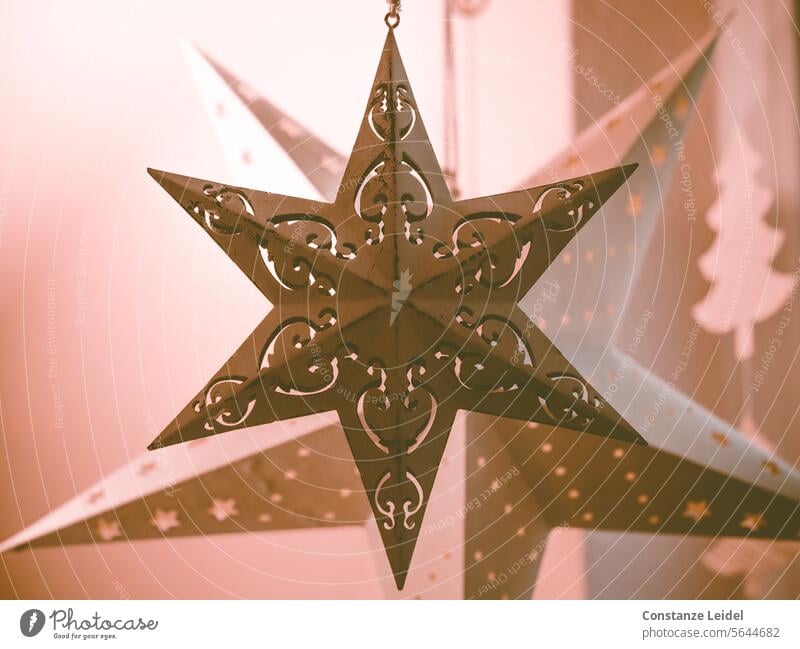 Decorative stars and Christmas Stars decoration Decoration Winter Festive Moody Anticipation Christmas & Advent Feasts & Celebrations Light Christmas decoration