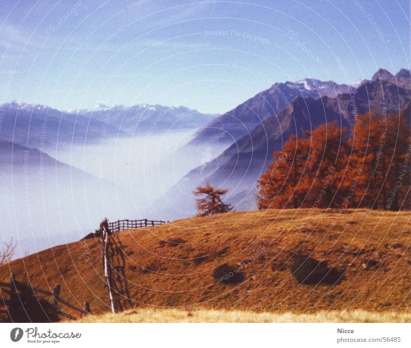 Merano Europe Clouds Vacation & Travel Far-off places Mountaineering Tree Meadow Grass Italy Beautiful Fog Autumn Red Luxury Exterior shot Analog Sky Happy