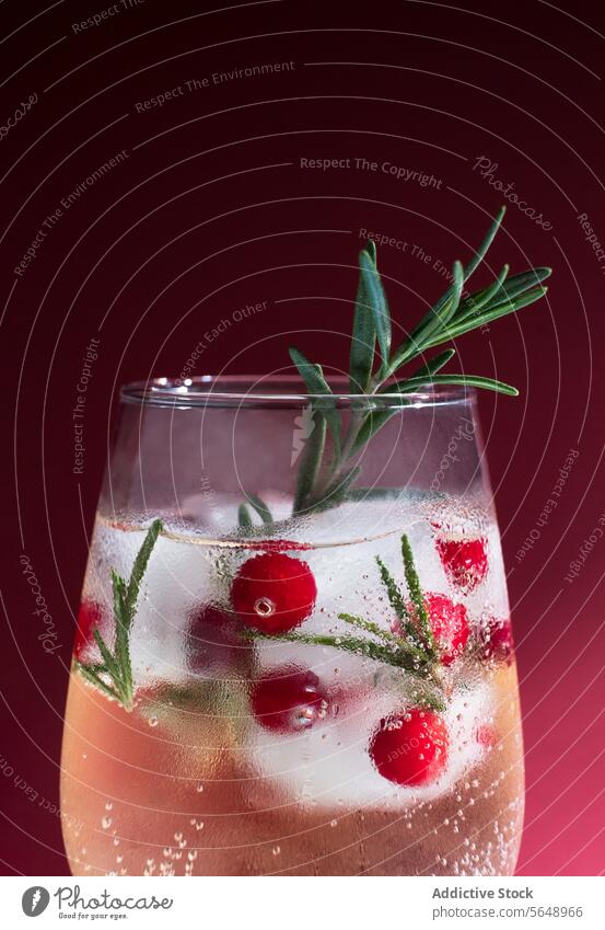 Rosemary winter cocktail with cranberries on red backdrop rosemary cranberry garnish drink beverage alcohol sprig fresh bubbly sparkling festive christmas