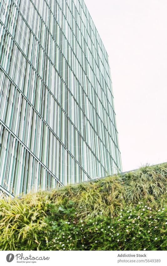 Modern office building on cloudy day city business company center modern bush fence facade street skyscraper construction architecture contemporary urban