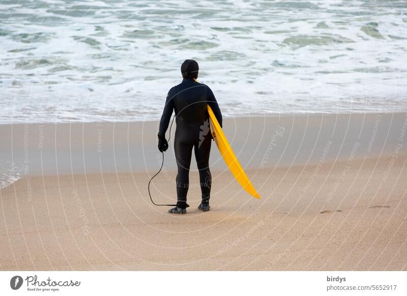 Surfer in black wetsuit and yellow surfboard looks out to sea Surfboard Wetsuit Surfing Ocean Beach Water Waves Neoprene Man Wait Stand Rear view Athletic