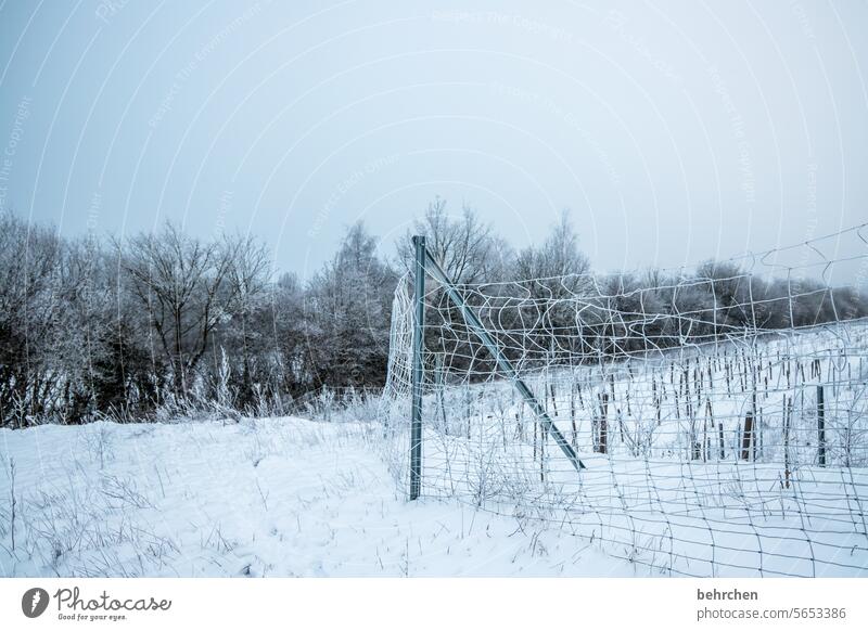 Ice Cold Hand Fence Dreamily pretty idyllically Home country Idyll Weather silent trees Field Seasons Landscape Nature Freeze Frozen Hoar frost Frost