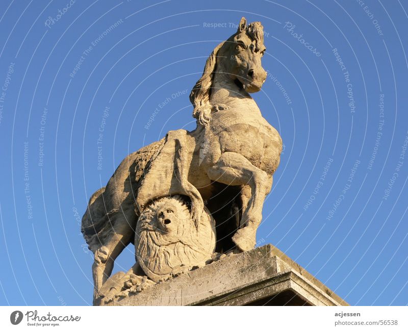 Stone Fury Horse Paris Statue stone sky sky