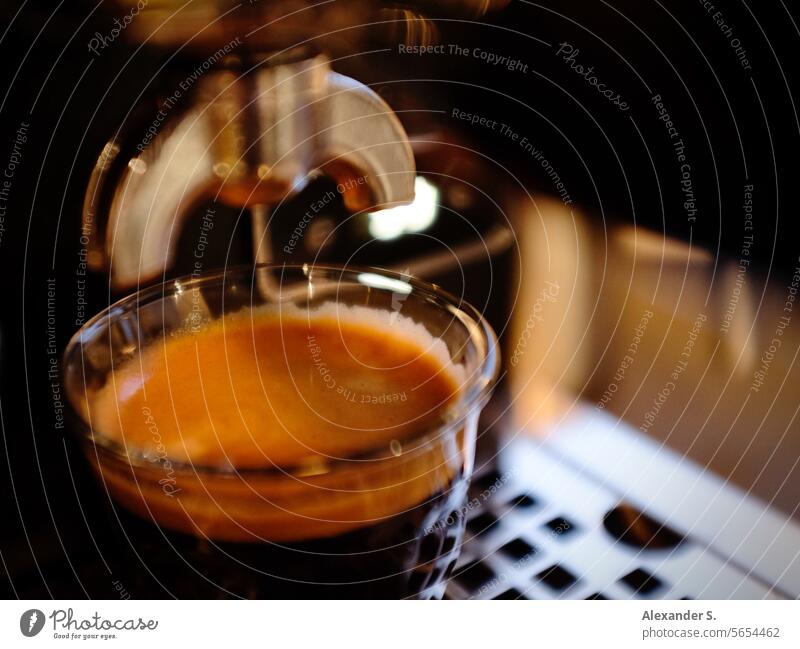 Double espresso in a glass under a portafilter of an espresso machine Glass Beverage Coffee cup Café Hot drink Coffee break To have a coffee Caffeine