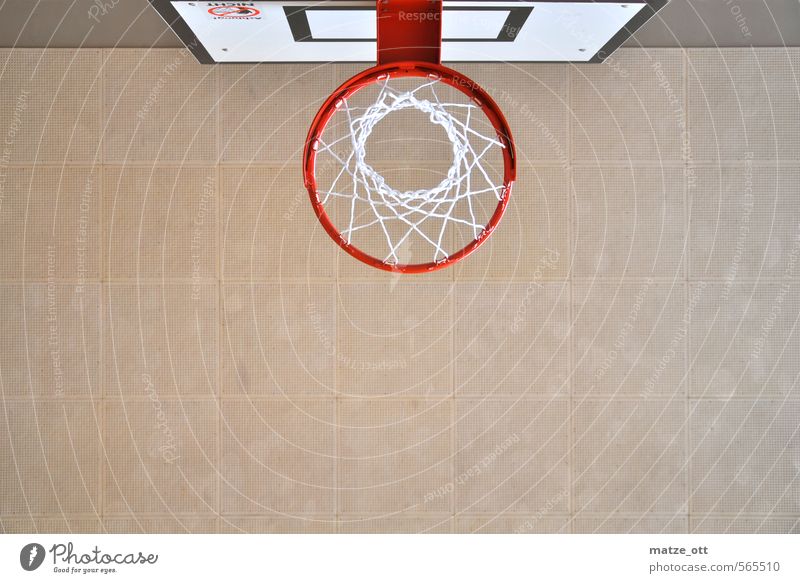 much too small to stuff Leisure and hobbies Playing Sports Ball sports Basketball Basketball basket Sporting Complex Gymnasium Ceiling Net Circle Wooden board