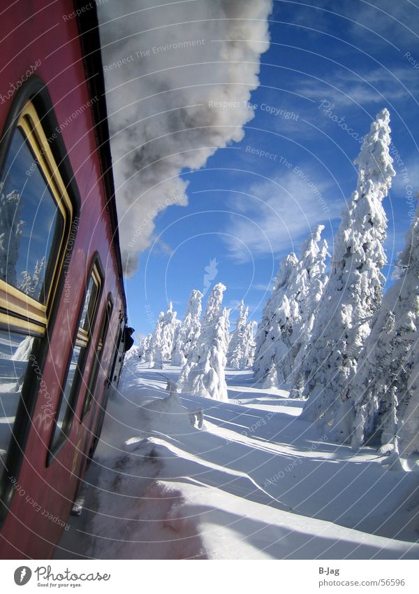 Brocken Railway Winter Cold White Ice Speed Cozy Tree Snow Window Gray Smoke-filled Exterior shot Action Landscape Clarity Railroad Reflection Closed To enjoy