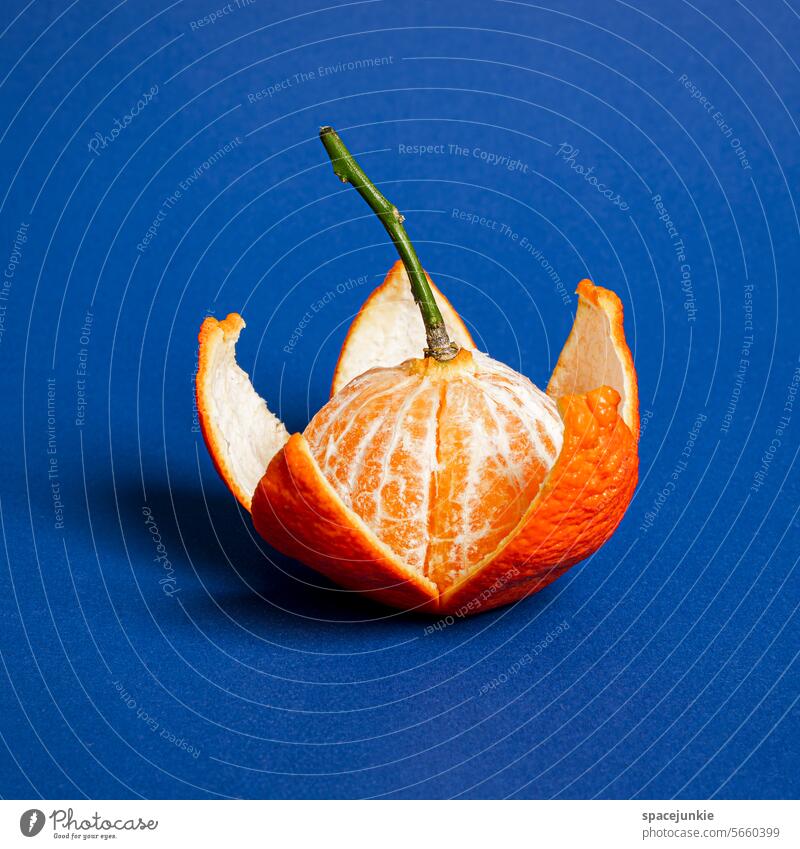 Kawaii tangerine design Royalty Free Vector Image