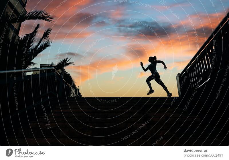 Female runner silhouette running over urban background with palm trees and sunset sky unrecognizable female woman figure shadow training sunshine sunrise clouds