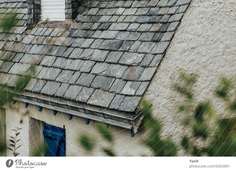 Stone roof Village idyll coastal town sea breeze Brittany Rough Rock Seashore Ocean France Tide Sea water sunshine Maritime holiday by the sea free time windy