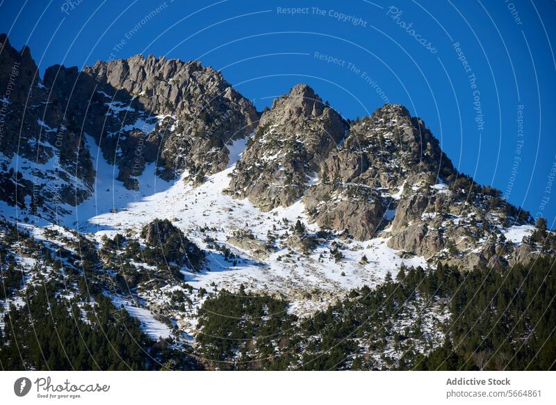 Majestic mountain peaks covered with snow and pine trees blue sky nature outdoor landscape evergreen scenic beauty wilderness rock stone high altitude forest