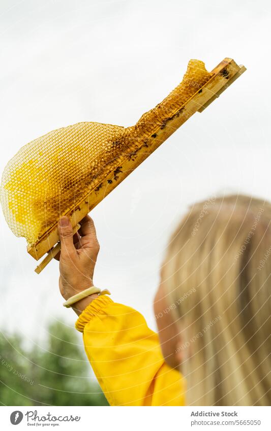 Anonymous woman in bracelet with honeycomb in apiary check beehive beekeeper wristband lady protect uniform plant park female hand casual organic professional