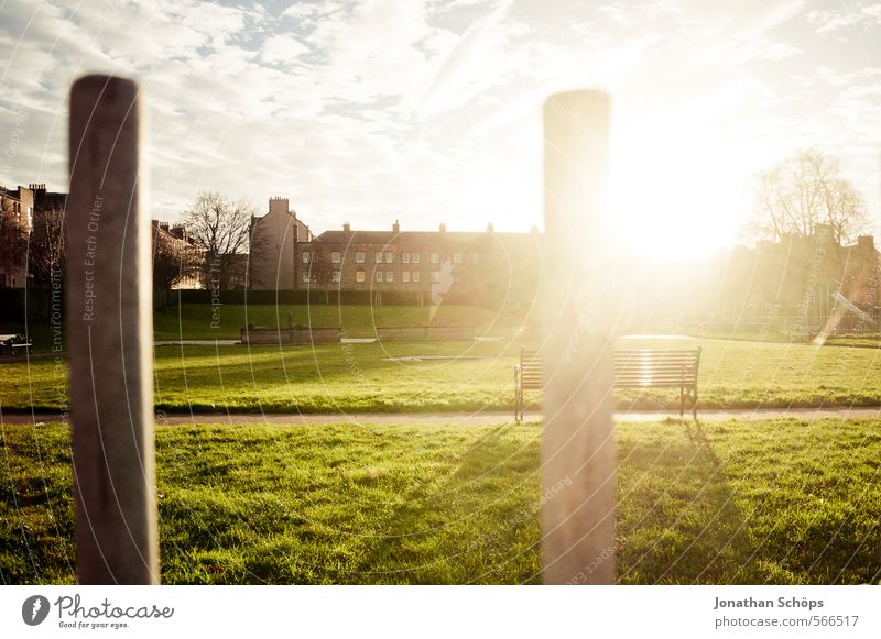 Edinburgh XIV Environment Nature Sky Sun Sunlight Beautiful weather Tree Grass Park Meadow Scotland Great Britain Town Outskirts House (Residential Structure)