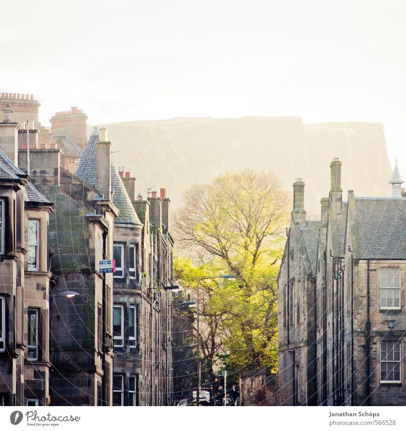 Edinburgh XIII Tree Rock Mountain Scotland Great Britain Town Capital city Populated House (Residential Structure) Facade Roof Chimney Esthetic Bright green