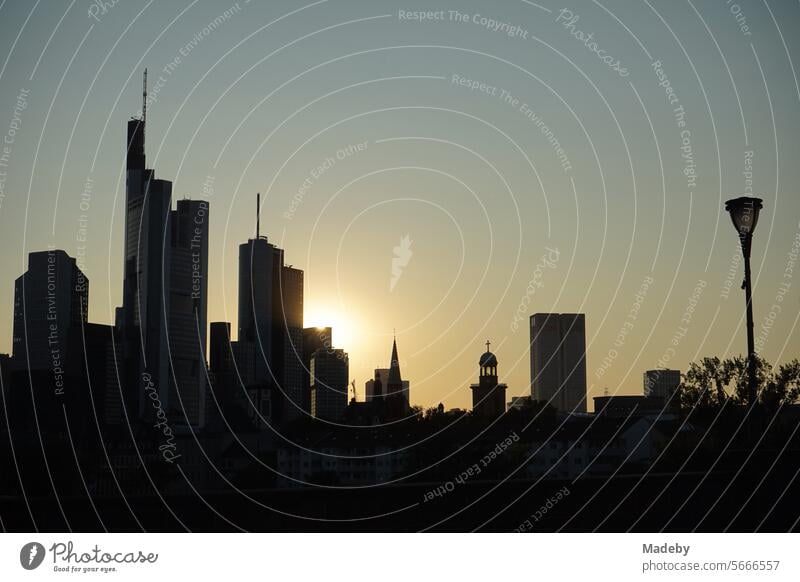 The skyline with the banking district and its skyscrapers with a street lamp on the Old Bridge in the light of the setting sun in summer in Frankfurt am Main in Hesse