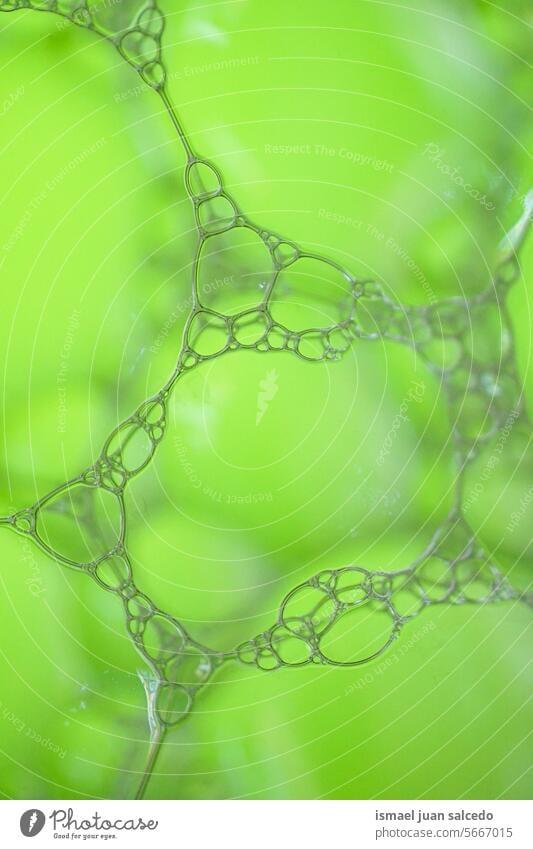 green soap bubbles, green abstract background green bubbles green background bubble bath sphere textured backgrounds pattern transparent wallpaper Soap bubble