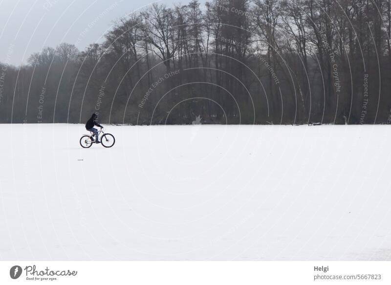 Let's see what happens ... will the ice hold? Winter Landscape Human being cyclists Lake frozen snowy Bicycle Cycling Ice sheet Snow Winter's day Winter mood