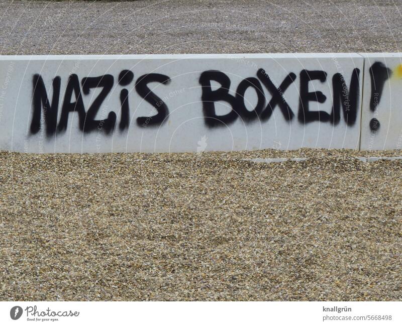 Nazis box! Graffiti Politics and state Protest Society Characters Responsibility Solidarity Demonstration Anger Respect Signs and labeling against racism