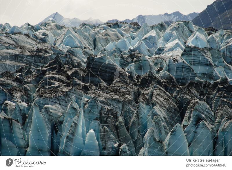 Alaska | Glacier Bay | Blue ice tower edge Glacier ice Glacial melt Glacier tongue break-off edge Termination Retreat Withdraw retracting Nature tranquillity