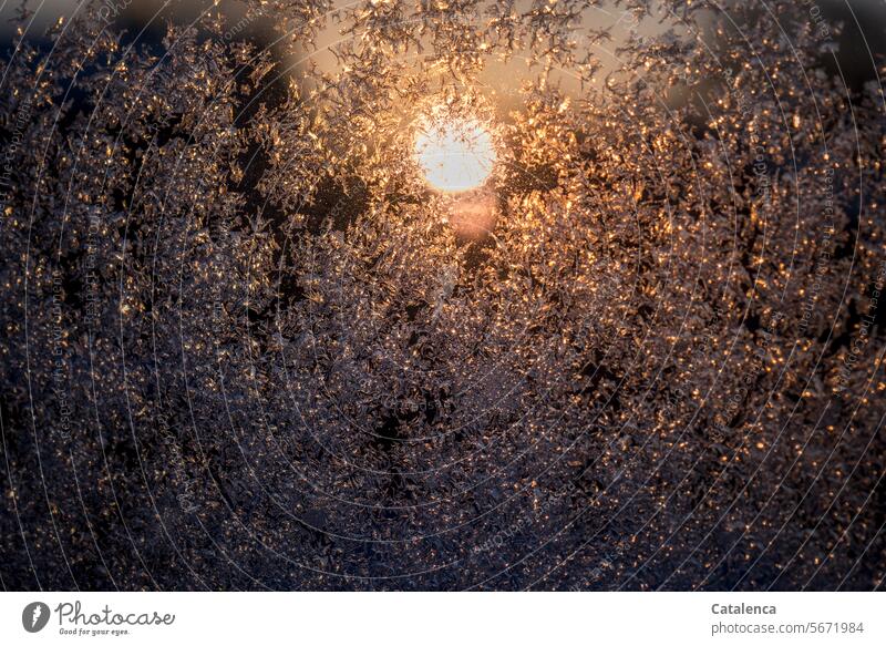 Ice crystals on the window pane, the sun rises Seasons Winter winter Cold chill ice crystals Frost structure Nature Weather Sun Sunlight Day daylight Orange