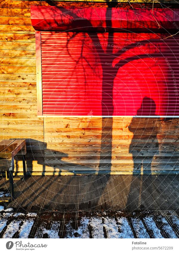 The evening sun casts long shadows of a tree, a person and a bench against the closed red roller shutter of a kiosk. Shadow Light and shadow