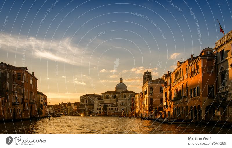 golden Venice Italy Europe Village Town House (Residential Structure) Vacation & Travel Canal Grande Colour photo Exterior shot Evening Sunrise Sunset