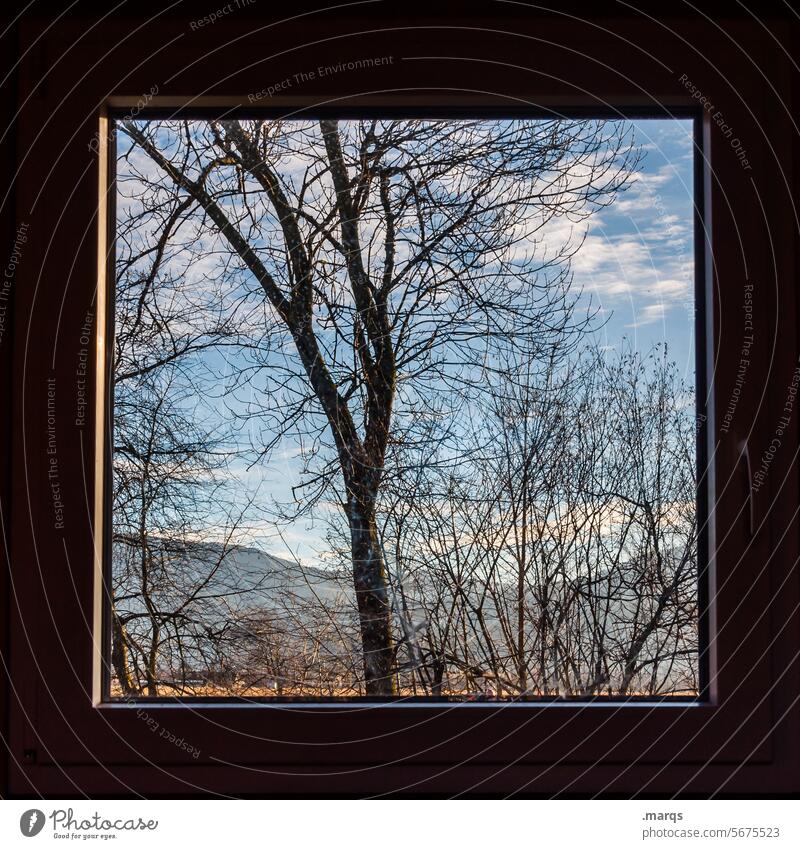 Cheerful prospects outlook Window Tree Landscape Nature detail Frame Beautiful weather View from a window Vantage point Living or residing Environment Sky Calm