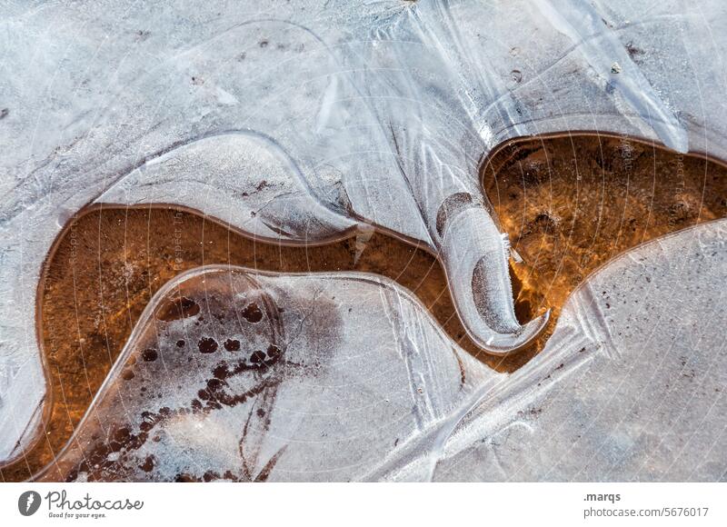 watercourse chill Environment Close-up Freeze Frost Winter Cold Frozen Pattern Structures and shapes Puddle Ice Ice structure Under Transience Mysterious