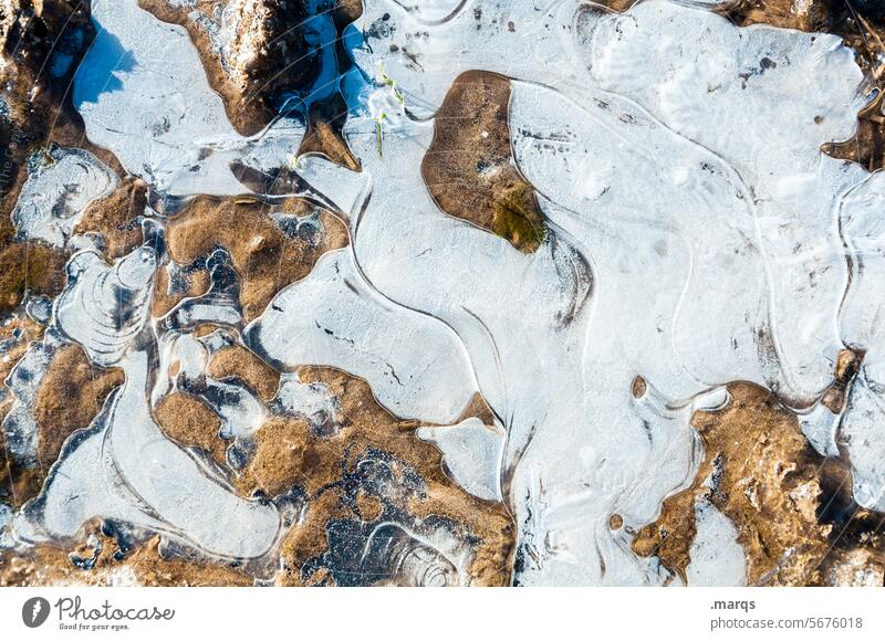 icily Ice structure chill Under Transience Mysterious ice floes Esthetic Environment Close-up Calm Elements Solidify Frozen surface Nature Detail Freeze