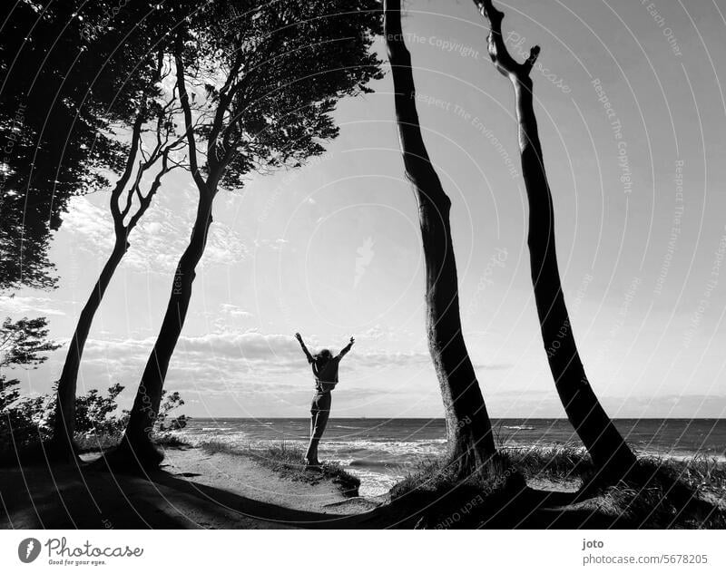 Person next to trees stretches arms up in the background the sea Woman Freedom Ocean Baltic Sea Baltic coast Horizon Nature Sky Vacation & Travel postcard motif
