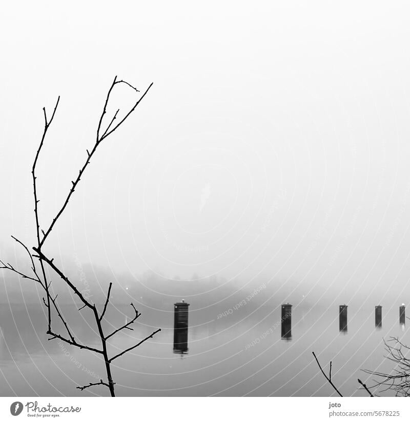 Canal in the fog Autumn Autumnal Dreary Exterior shot Nature Gloomy October November November weather october weather Sadness Maritime Baltic Sea Baltic coast