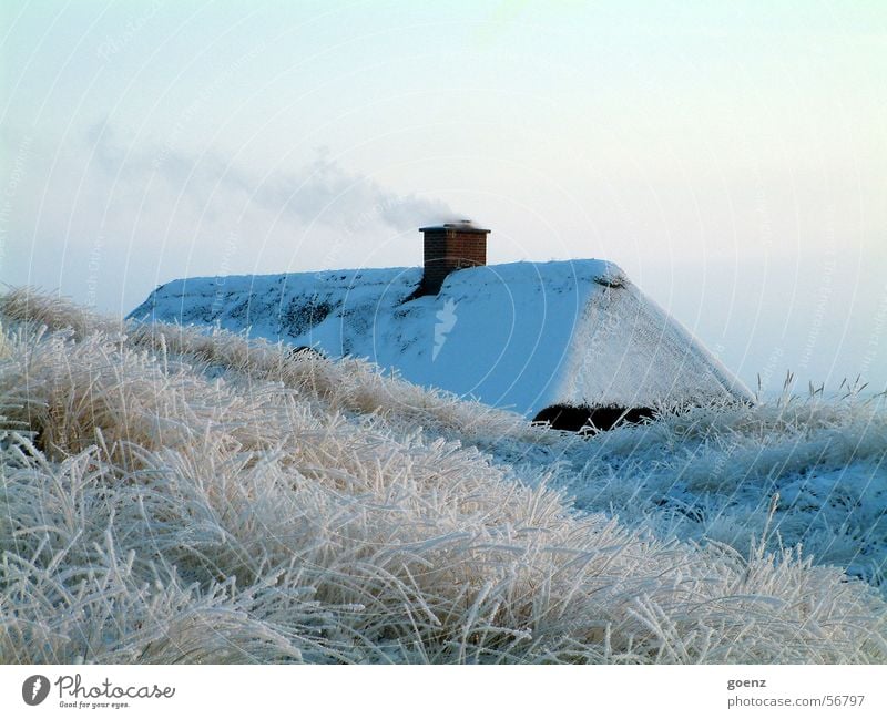 Warm home House (Residential Structure) Winter Cold Reet roof Thatched roof Beach dune Vacation & Travel North Sea Denmark Chimney Smoke