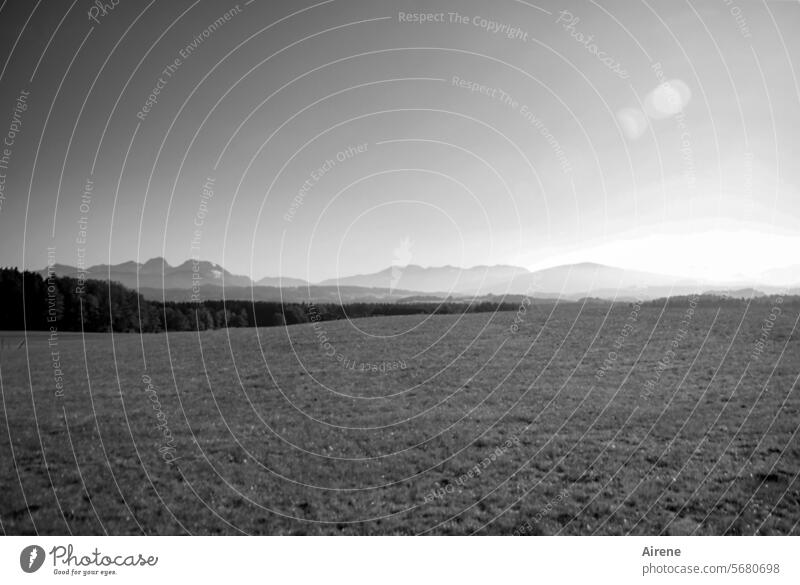 In the far distance Long shot Alps Sunlight Meadow Wide angle Deserted Peaceful wide Landscape silent Nature Sky Panorama (View) Beautiful weather Mountain