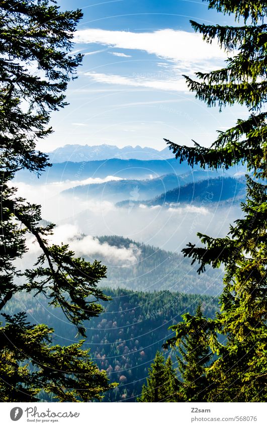 Bob Ross Mountain Hiking Nature Landscape Sky Clouds Autumn Beautiful weather Tree Bushes Forest Alps Esthetic Kitsch Sustainability Blue Green Calm Relaxation