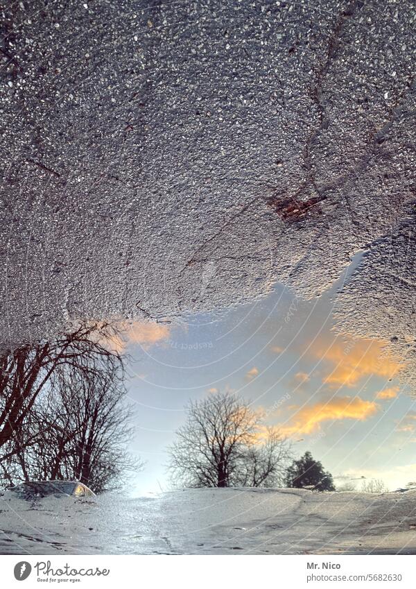 After the rain Puddle Tree Rain Reflection surreal Water puddle mirroring after the rain Gray Asphalt Street Damp Wet Rainy weather Lanes & trails Weather Sky