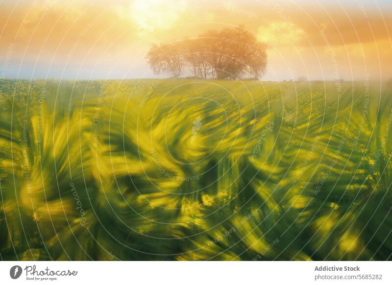 An ethereal landscape showcasing a blur of golden wildflowers against a backdrop of serene trees under a soft, hazy sunrise soft light nature field morning