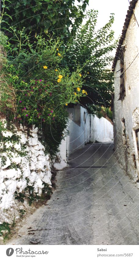 gas Alley House (Residential Structure) Greece Wall (barrier) Street