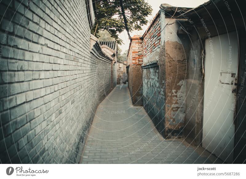 Many paths lead through the old town Hutong China Beijing Lanes & trails Wall (barrier) Authentic Historic Tourist Attraction World heritage Cinese architecture