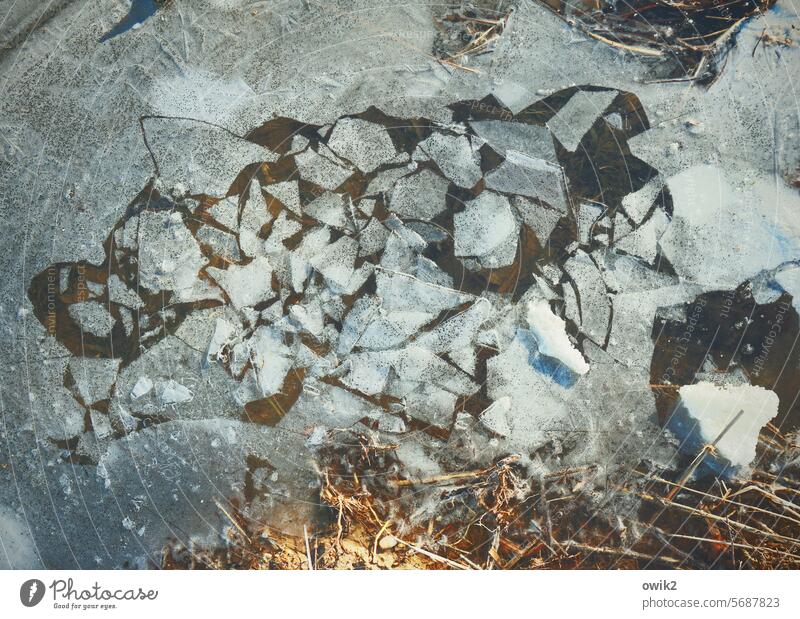 ICE DIELS Ice ice floes Ice structure Part Plaice ossified chill Exterior shot bizarre shapes Long shot Idyll Water blister Ice bubbles Winter Motionless