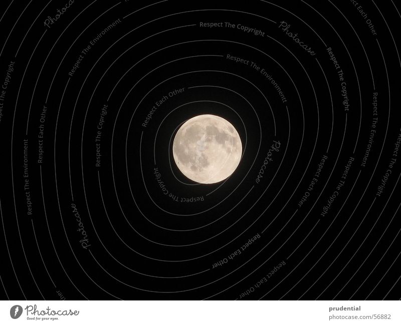 full moon Night Celestial bodies and the universe Sky man in the moon