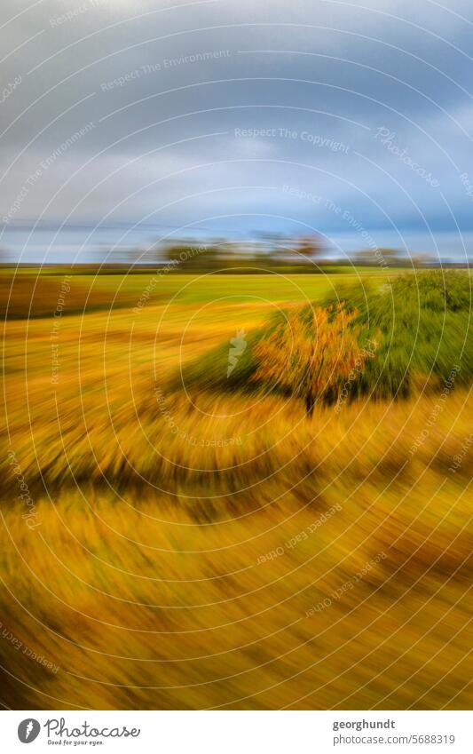 Passing a landscape with forest in early fall, blurred and zoomed. drive past hazy Movement motion blur Meadow Forest trees Nature Landscape Deserted